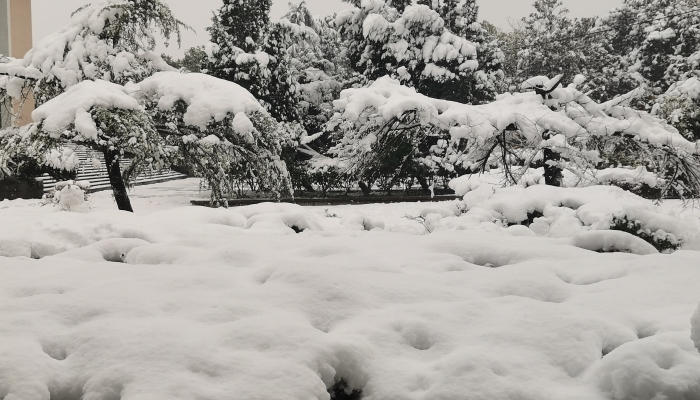 施有哪些 应对暴雪天气准备工作有哪些九游会·j9网站暴雪天气路面应急措(图2)